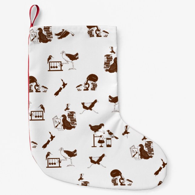Neuseeländische Vogelwissenschaftler Kleiner Weihnachtsstrumpf (Vorderseite)
