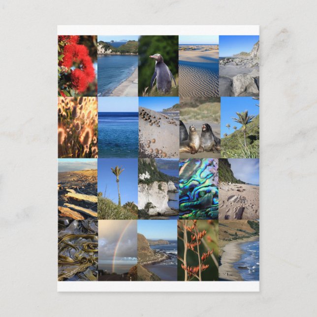 Neuseeländisches landschaftliches Kiwiana Postkarte (Vorderseite)