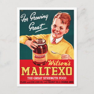 Neuseeländisches Vintages Werbeplakat Postkarte