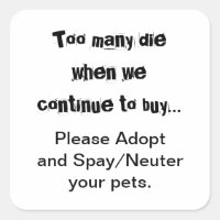 Neuter Spay Adoptierte Überbevölkerung bei Haustie
