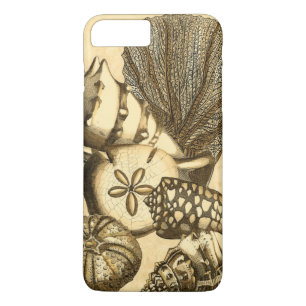 Neutrale Muscheln und Korallensammlung iPhone 8 Plus/7 Plus Hülle
