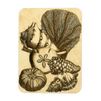 Neutrale Muscheln und Korallensammlung