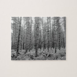 Neuwald, Pinienwald von Hampshire