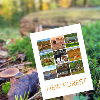 Neuwald Postkarte