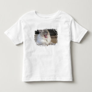 Neva Masquerade-Katze gähnt Kleinkind T-shirt