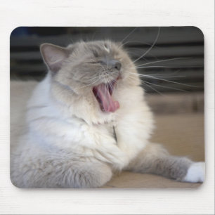 Neva Masquerade-Katze gähnt Mousepad