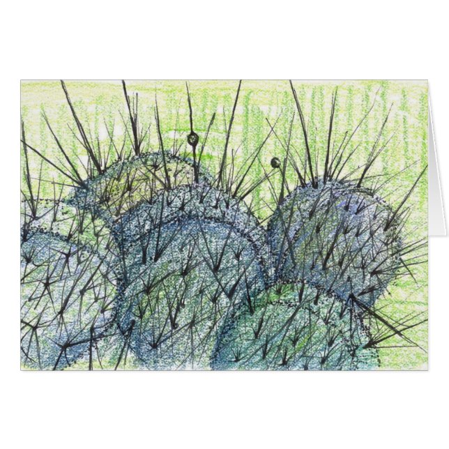 Nevada Desert Cactus Pflanze Zeichnend (Vorderseite (Horizontal))