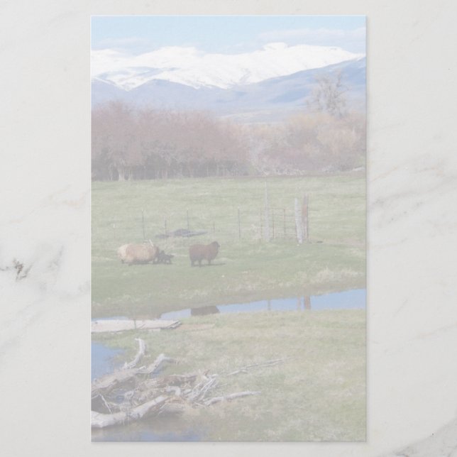 Nevada-Ranch-Landschaft Briefpapier (Vorderseite)