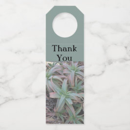 Nevada sukculi flaschenanhänger