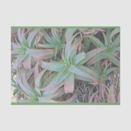 Nevada sukculi seidenpapier