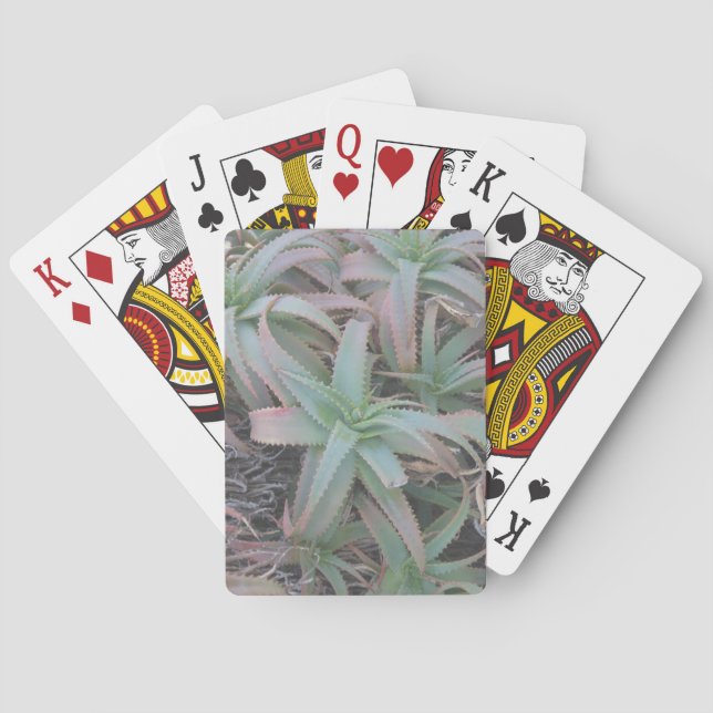 Nevada sukculi spielkarten (Rückseite)