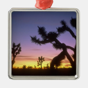 NEVADA. USA. Josua-Bäume Yucca brevifolia) Ornament Aus Metall