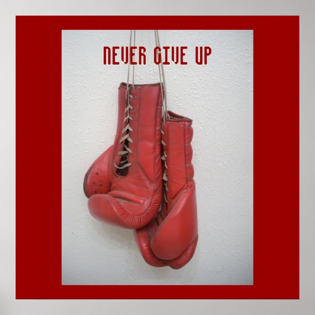 Never Give Up Poster (Vorne)