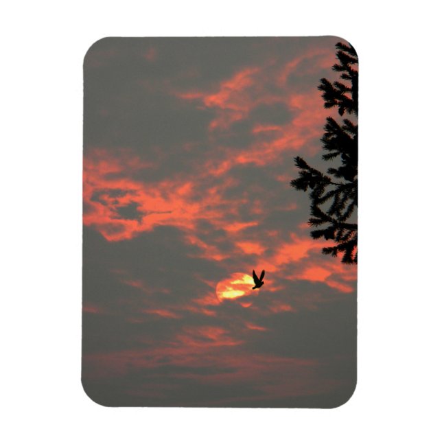 Never more the Raven... Magnet (Vertikal)