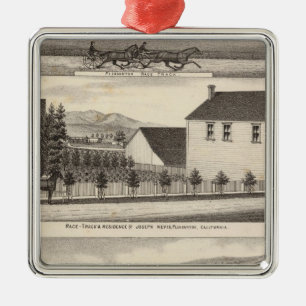 Nevis, grüne Wohnsitze, Bauernhöfe Silbernes Ornament