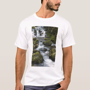 New Brunswick, Kanada. Dickson Falls im Fundy T-Shirt
