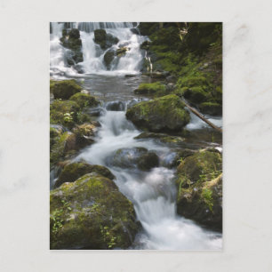 New Brunswick, Kanada. Dickson Falls in Fundy Postkarte