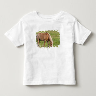 New Brunswick, Kanada. Pferd im Feld. Kleinkind T-shirt