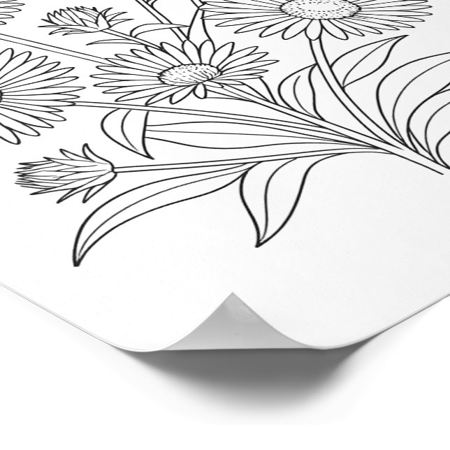 New England Aster Coloring Poster (Ecke)