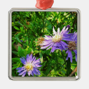 New England Asters Silbernes Ornament