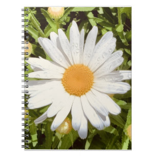 New England Blume Foto Notizblock