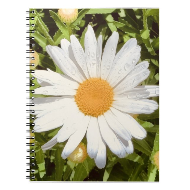 New England Blume Foto Notizblock (Vorderseite)