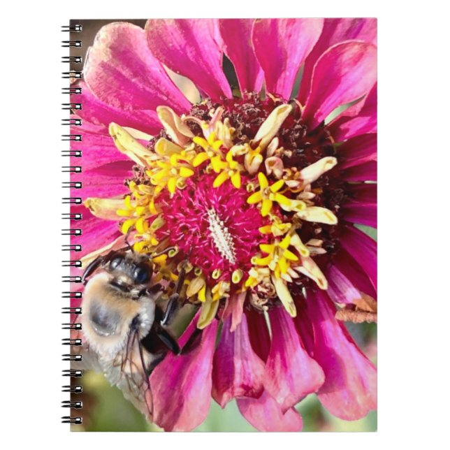 New England Blume Foto Notizblock (Vorderseite)