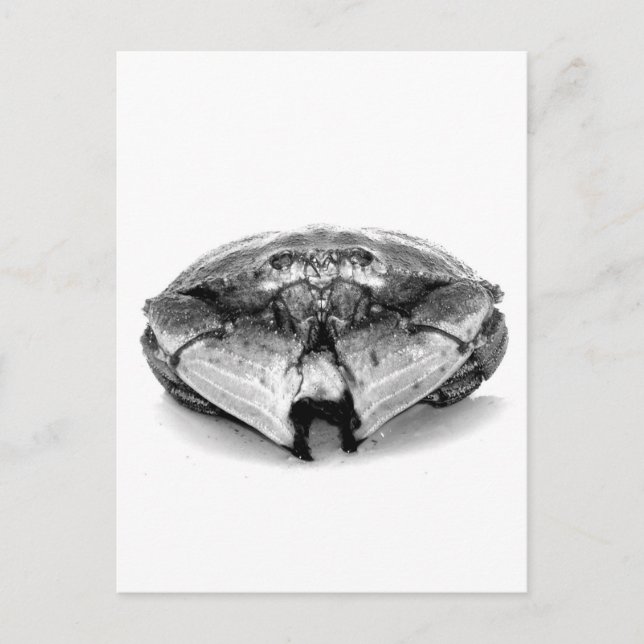 New England Rock Crab I Postkarte (Vorderseite)
