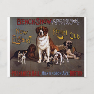 New England Vintage-Hundeshow-Postkarte Postkarte