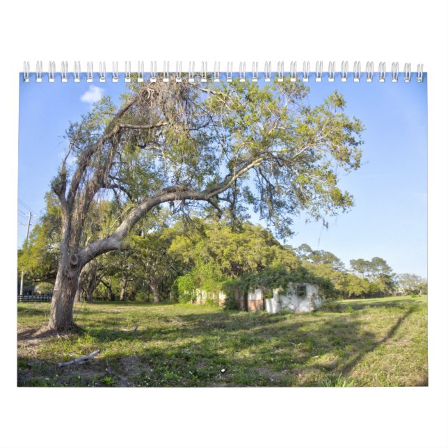 New For 2026 Pawleys Island Wall Calendar Kalender (Titelbild)
