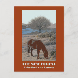 New Forest 1920er Jahre Retro-Postkarte Postkarte
