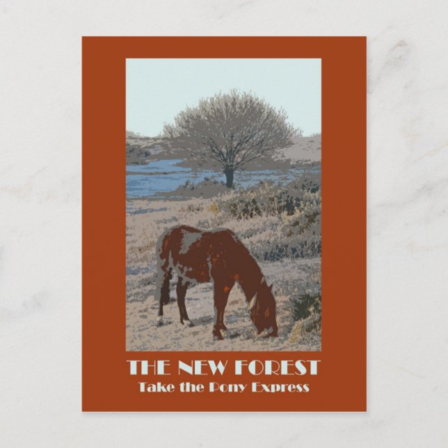 New Forest 1920er Jahre Retro-Postkarte Postkarte (Vorderseite)