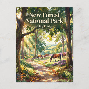 New Forest Nationalpark Vereinigtes Königreich Postkarte