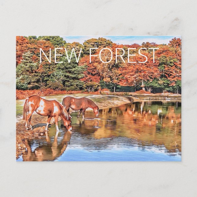 New Forest Ponies Postkarte (Vorderseite)