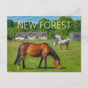 New Forest Ponies Postkarte