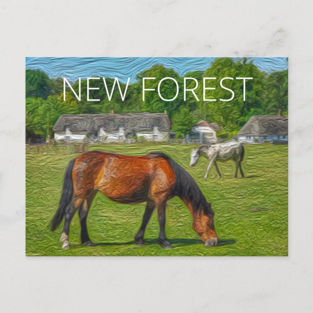 New Forest Ponies Postkarte (Vorderseite)