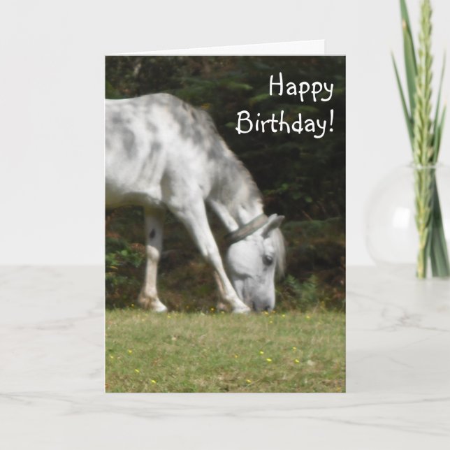 New Forest Pony Birthday Karte (Vorderseite)