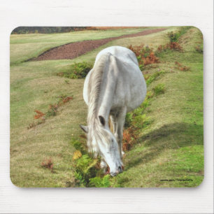 New Forest Pony Horse-Lover's UK Mousepad