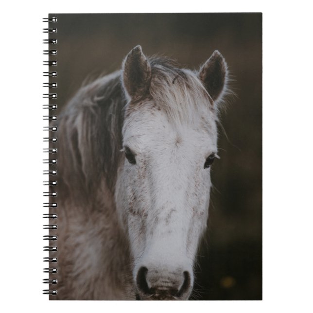 NEW FOREST-PONY NOTIZBLOCK (Vorderseite)