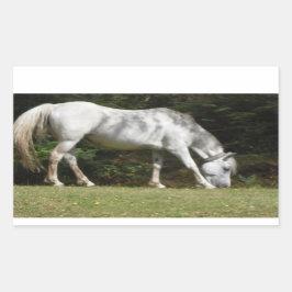 New Forest Pony Weiden Rechteckiger Aufkleber