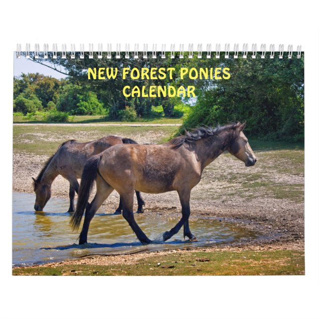 New Forest Ponys Kalender (Titelbild)
