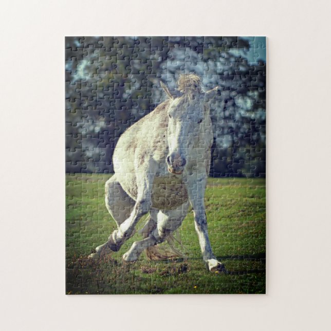 New Forest White Pony Funny Pose (Vertikal)