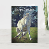 New Forest White Pony Funny Pose Geburtstagskarte