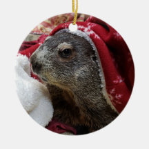NEW! Groundhog Carrie Christmas Ornaming 2