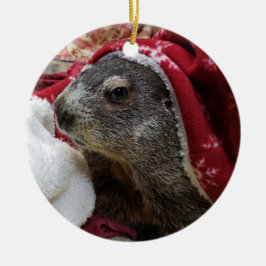 NEW! Groundhog Carrie Christmas Ornaming 2 Keramik Ornament