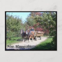 New Hampshire hayride