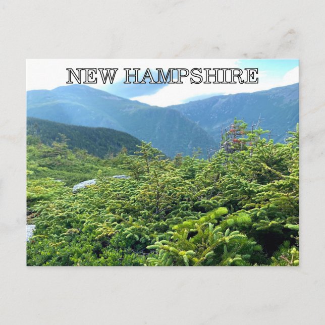 New Hampshire Postcard Postkarte (Vorderseite)