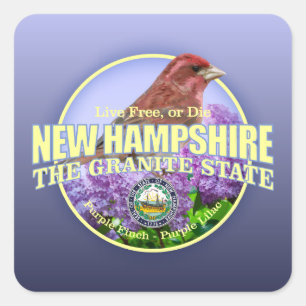 New Hampshire Staats-Vogel u. Blume Quadratischer Aufkleber