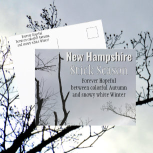 New Hampshire Stock Season New England Foto Postkarte