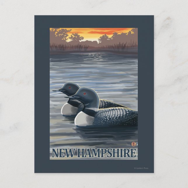 New HampshireCommon Loon Postkarte (Vorderseite)
